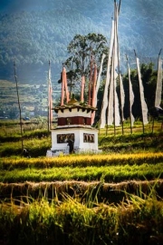 Bhutan-Landscape-0076