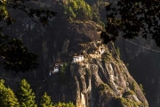 Tigers Nest 2