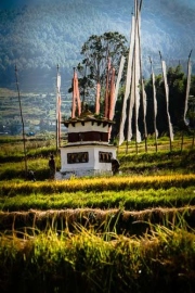 BhutanLandscape-0075