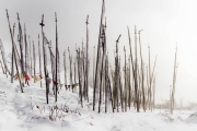 BhutanPrayerFlags-5881