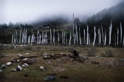 BhutanPrayerFlags-5890