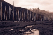 BhutanPrayerFlags-5899