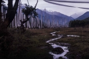 BhutanPrayerFlags-5901